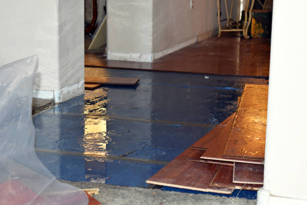 Professional Burst Pipe Cleanup technician working in Chevy Chase, MD